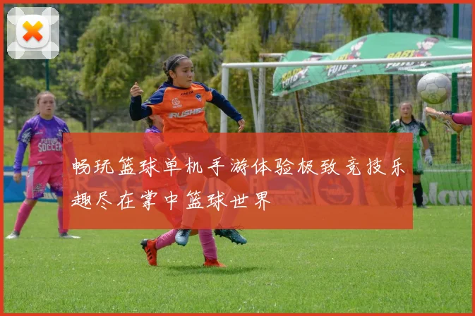 畅玩篮球单机手游体验极致竞技乐趣尽在掌中篮球世界