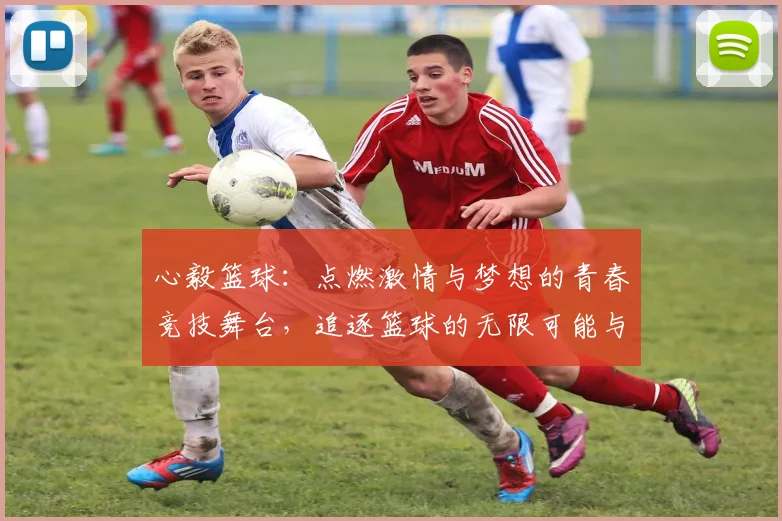 心毅篮球：点燃激情与梦想的青春竞技舞台，追逐篮球的无限可能与荣耀